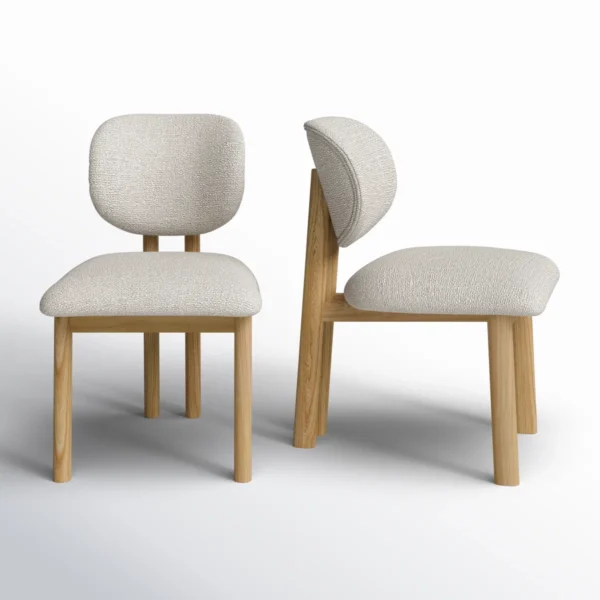 Trinika Modern Dining Chair Set of 2