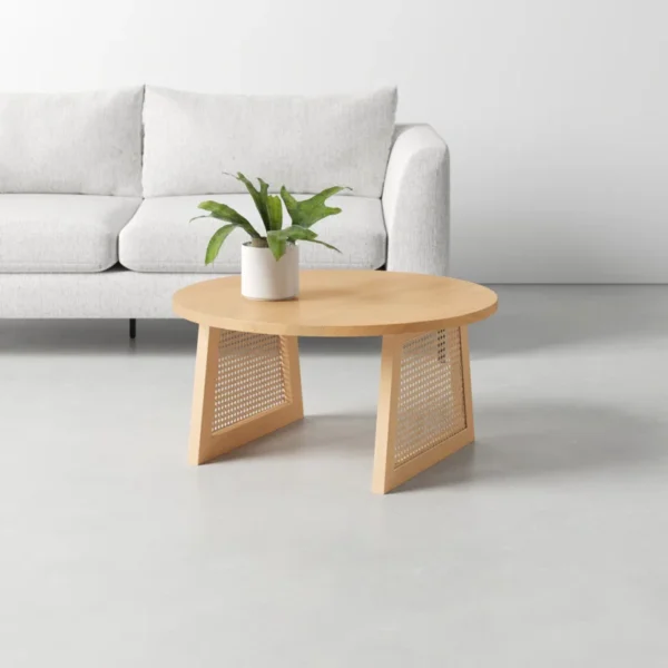 Curator Coffee Table with Natural Cane