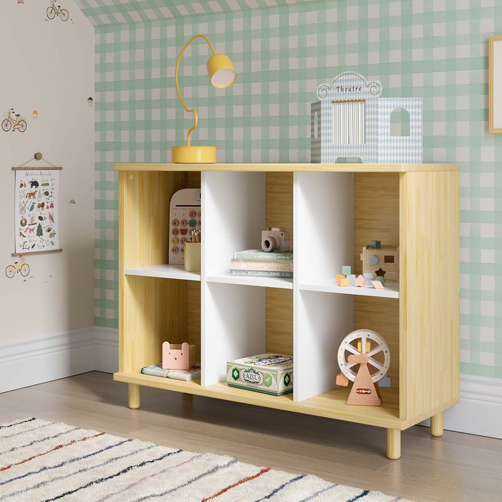 Discovery Kids Bookshelf